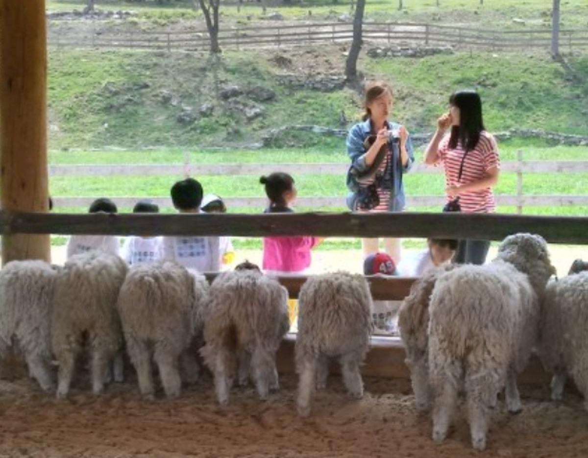 Chuncheon slow journey photo 5