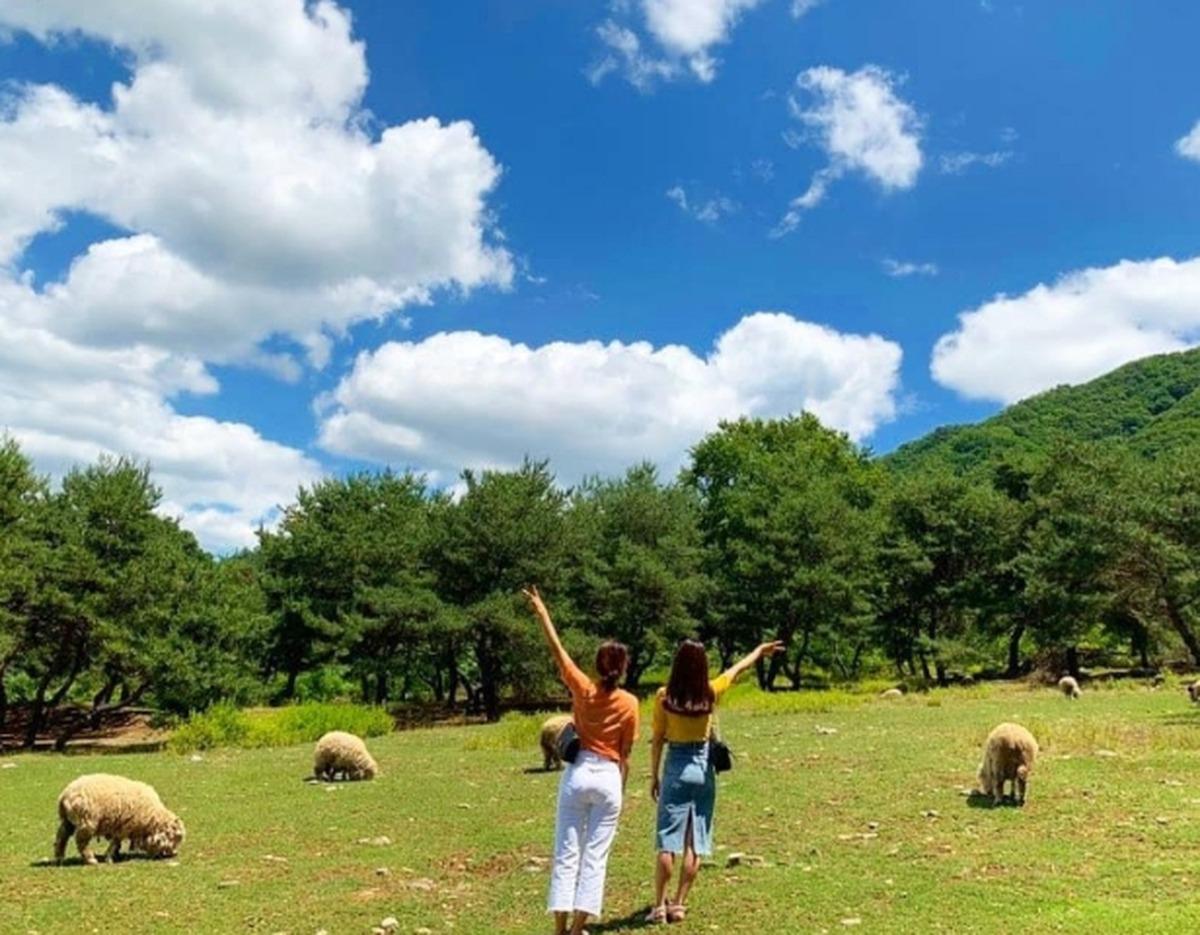 Two women waving toward pine trees in a sunny pasture at Happy Choeun Farm with grazing sheep and blue sky