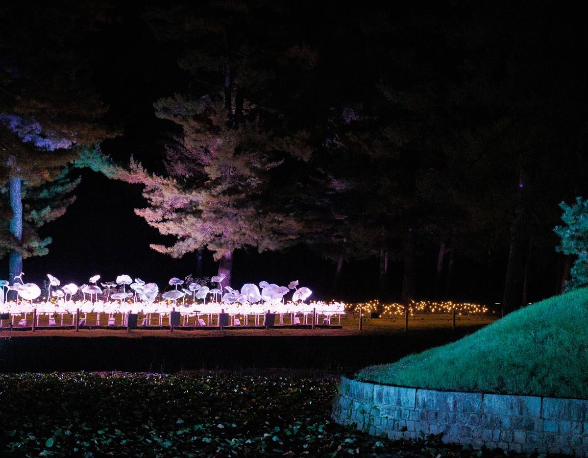 隆陵 夜間ライトアップの庭園