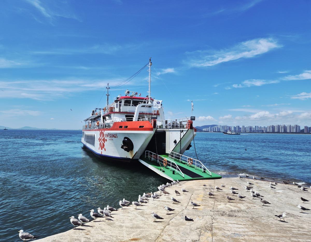 New Cosmos tour ship moored at Wolmido with open gangway and dozens of seagulls on the concrete quay