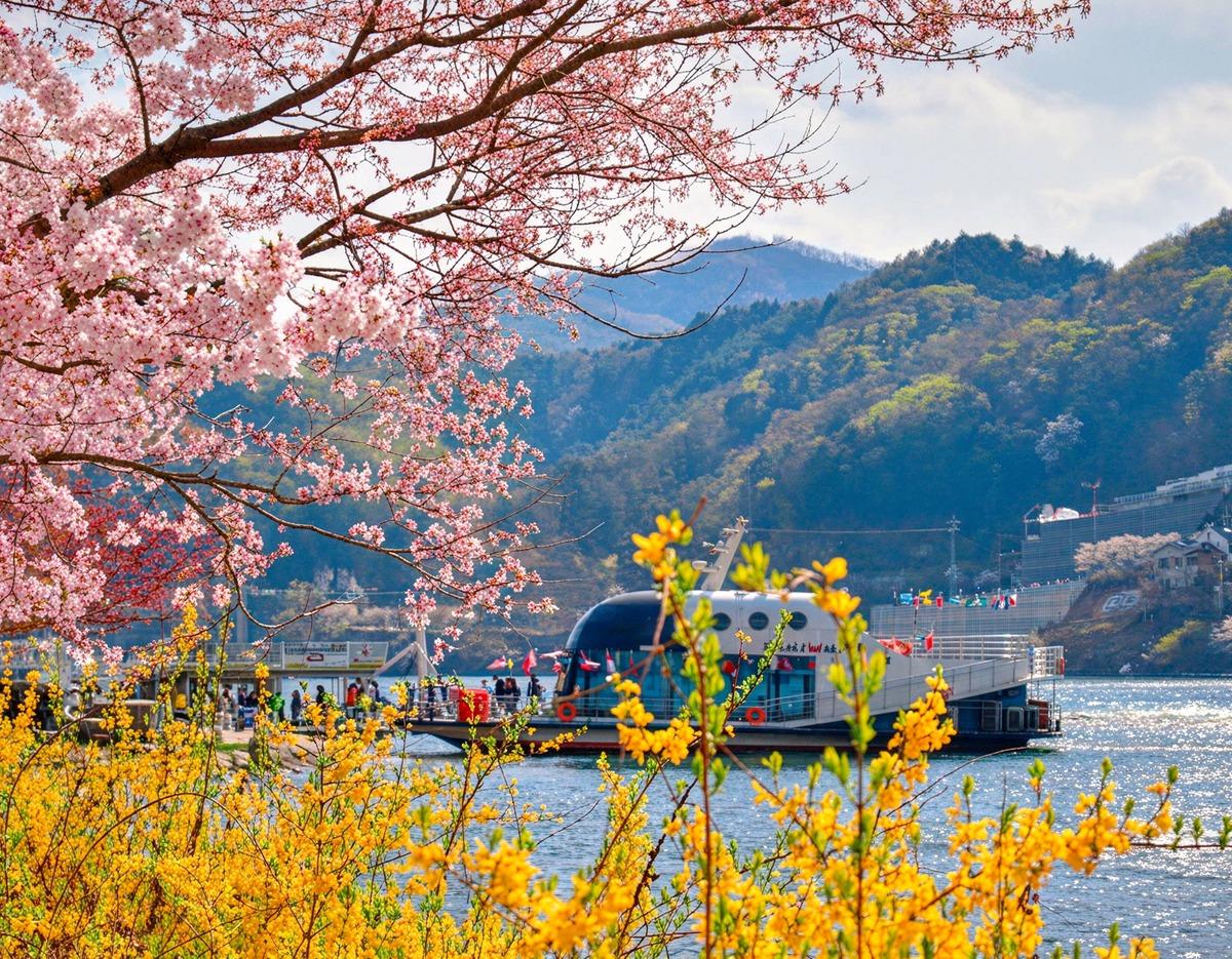 南怡島の季節の風景 6