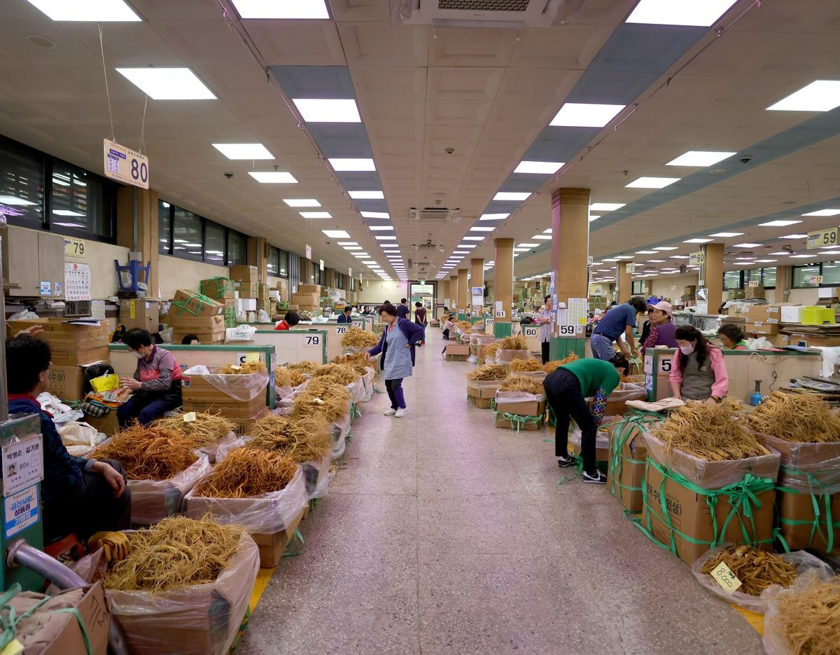 Wide indoor ginseng market hall with rows of boxed dried ginseng, vendors and buyers inspecting and sorting roots.