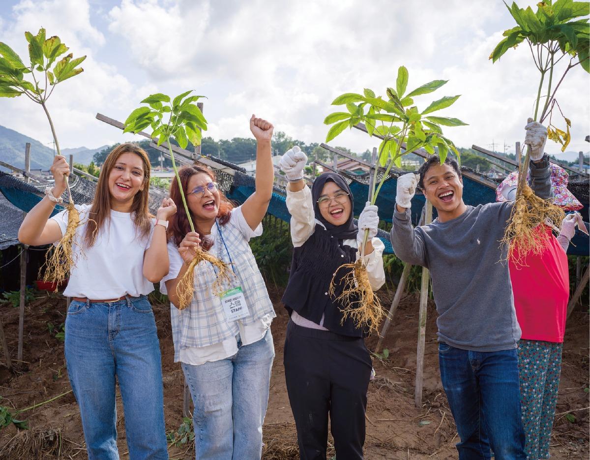 Four smiling festival participants holding freshly dug ginseng plants with roots at a sunny field in Geumsan.