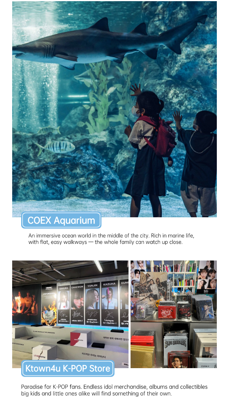 Family Play Korea English product guide 5