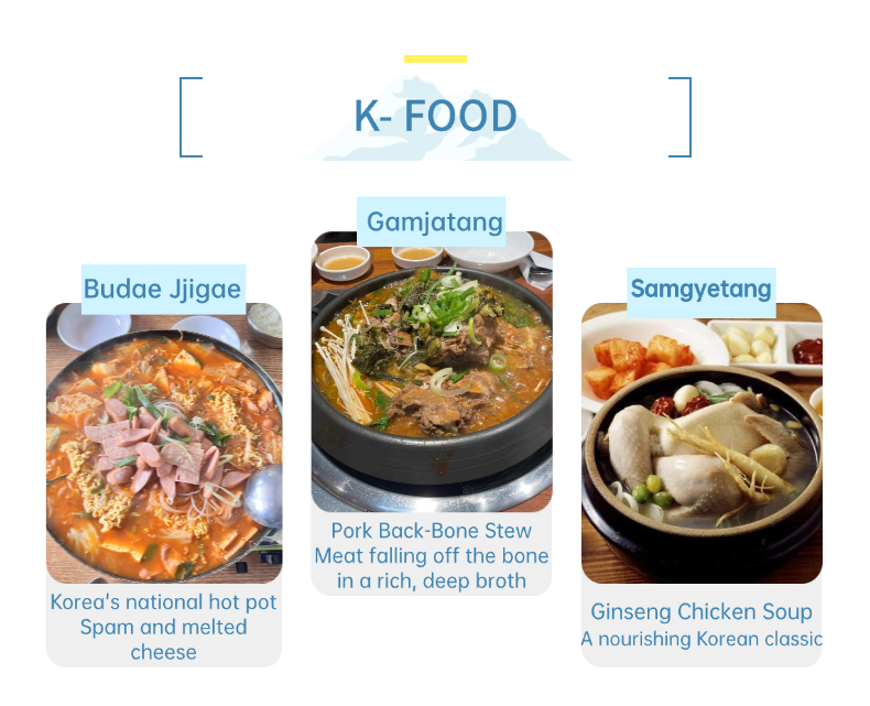 Family Play Korea English product guide 10