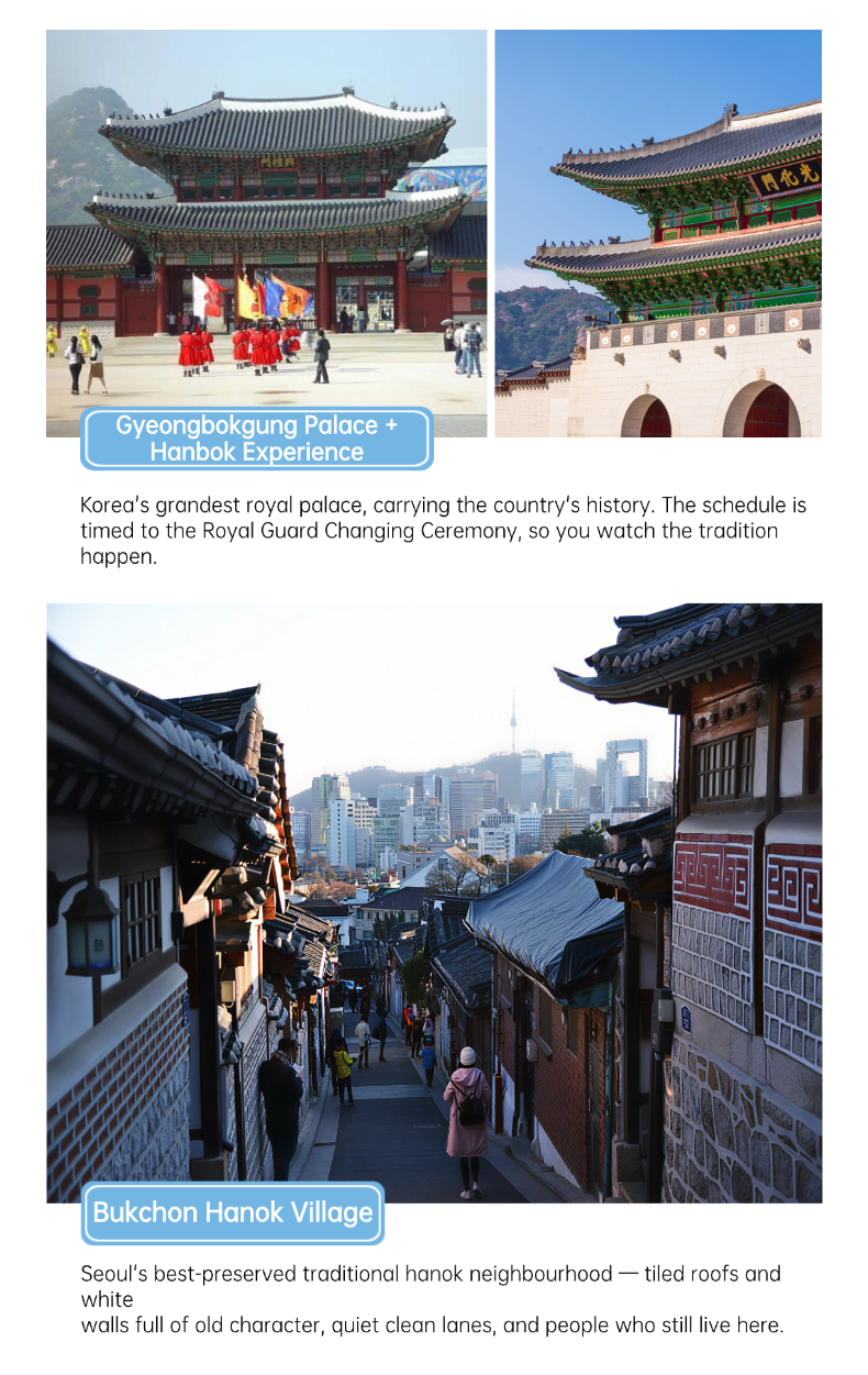 Family Play Korea English product guide 7