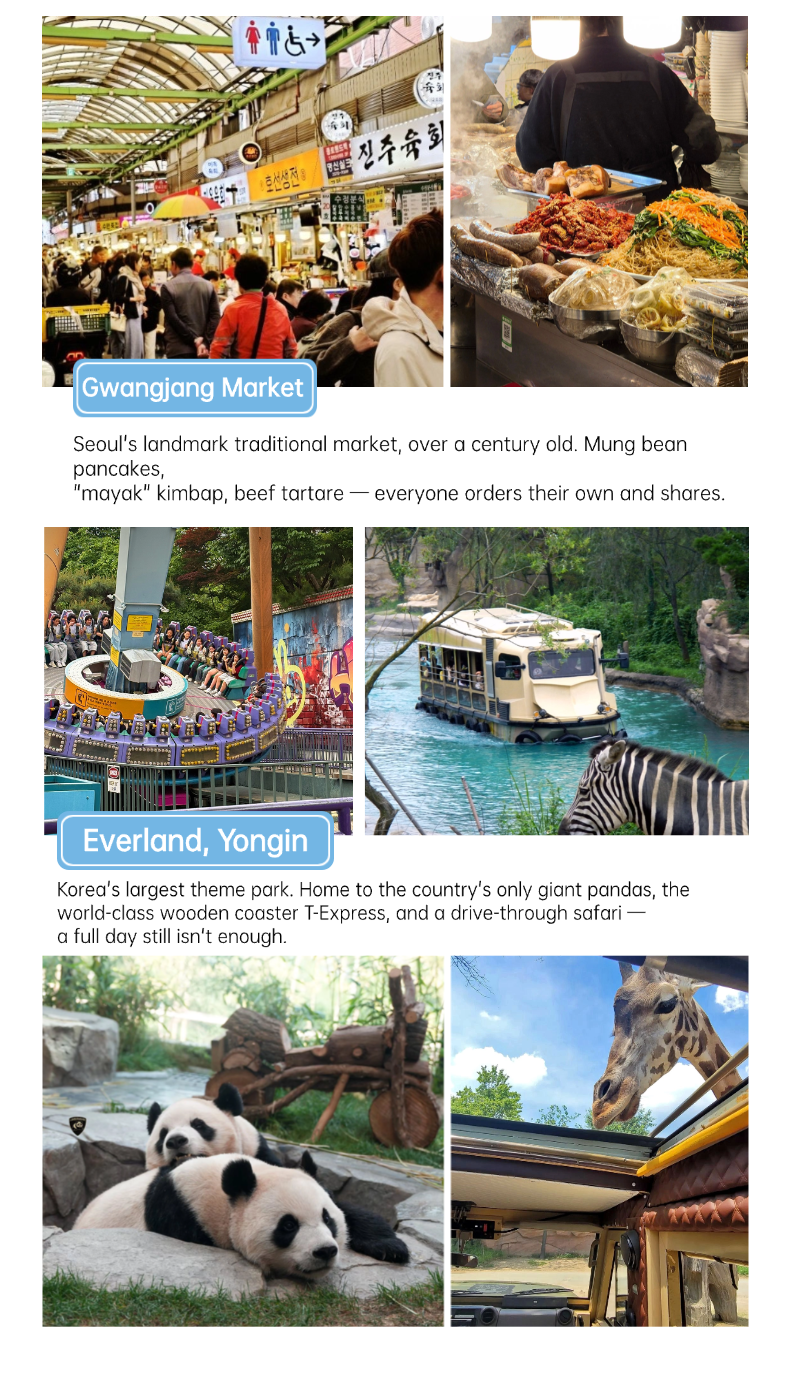Family Play Korea English product guide 9