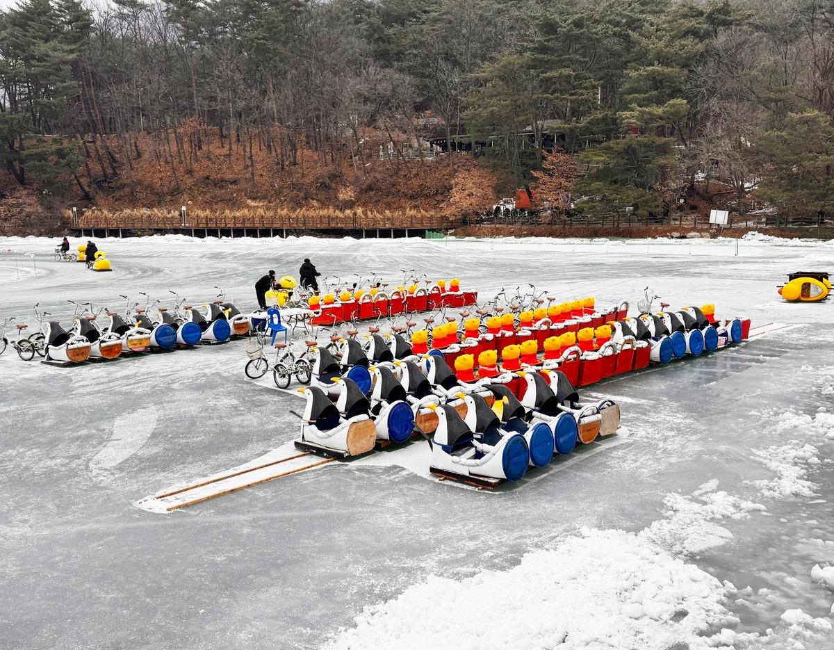 Rows of colorful pedal ice boats (penguin and duck designs) lined up on a frozen lake with wooded shore in winter
