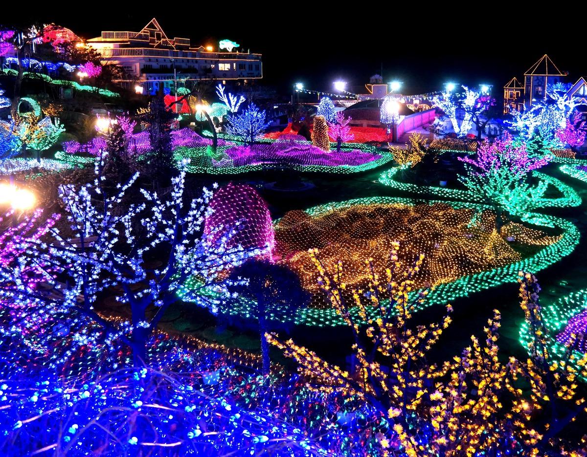 포천 허브아일랜드 야간 정원, 다채로운 LED 조명으로 물든 언덕과 나무들이 반짝이는 풍경