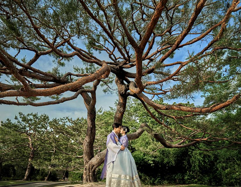 Standard Photography at Gyeongbokgung 8