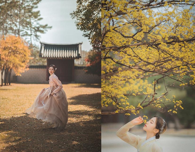 Standard Photography at Gyeongbokgung 3