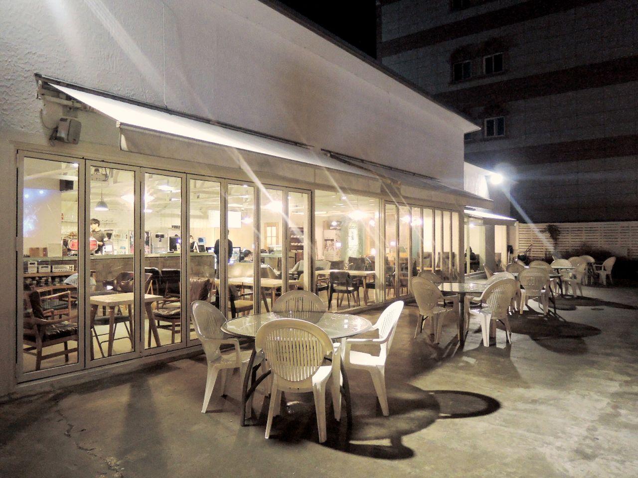 Paper forest image 2