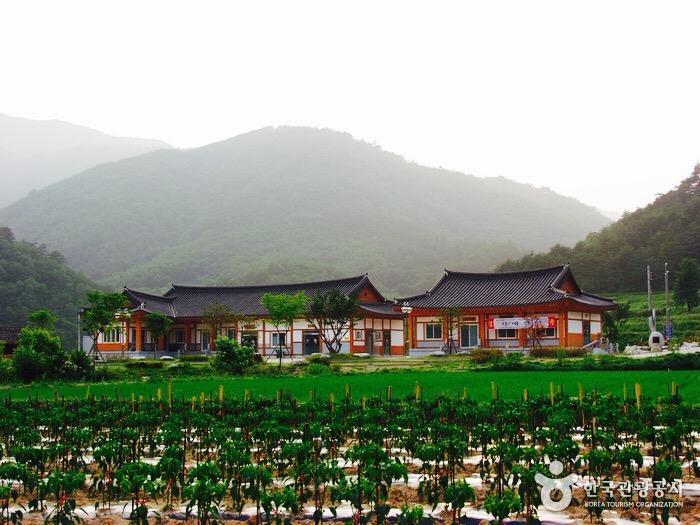 ciudad del pastel de arroz song chun-li 1