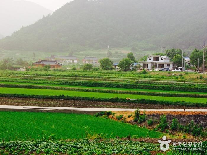 ciudad del pastel de arroz song chun-li 4
