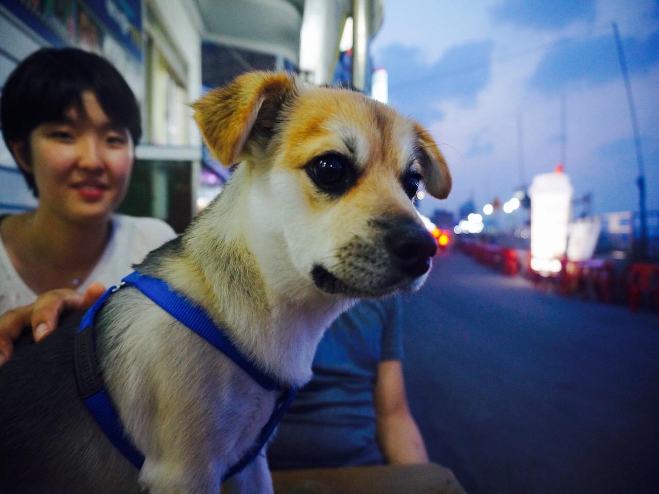 Soonhee's macha image 4