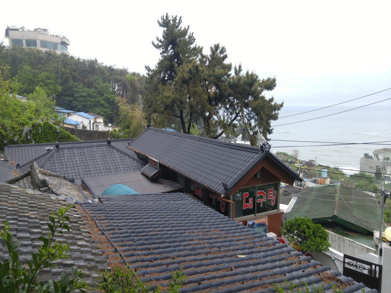 Haeundae giwa-house daegu soup image 5