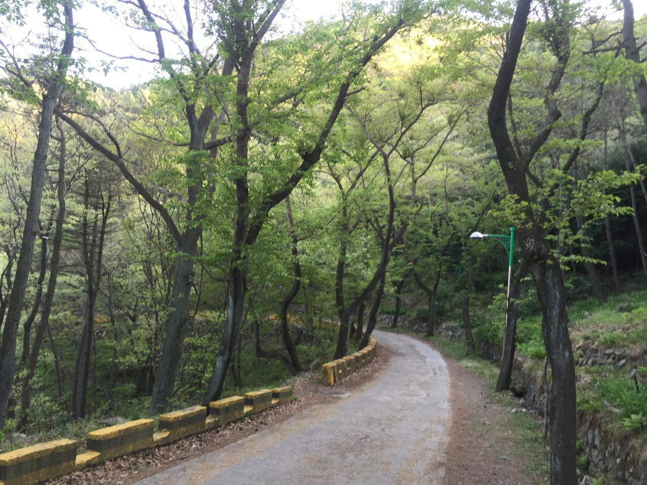 Ingresso del Centro di ecologia naturale della montagna Bongrae 2