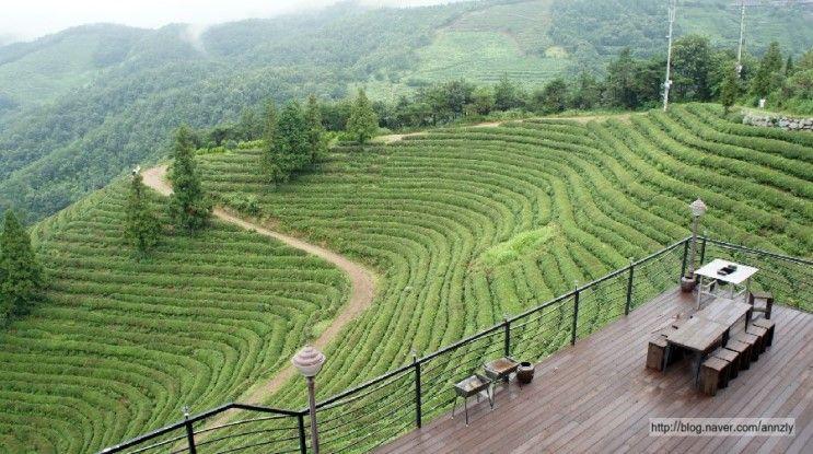 Welt geöffnet durch grünes Blatt 1