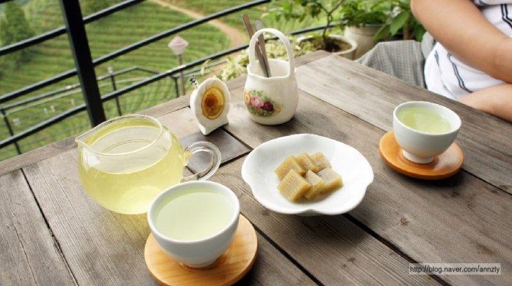 Welt geöffnet durch grünes Blatt 4