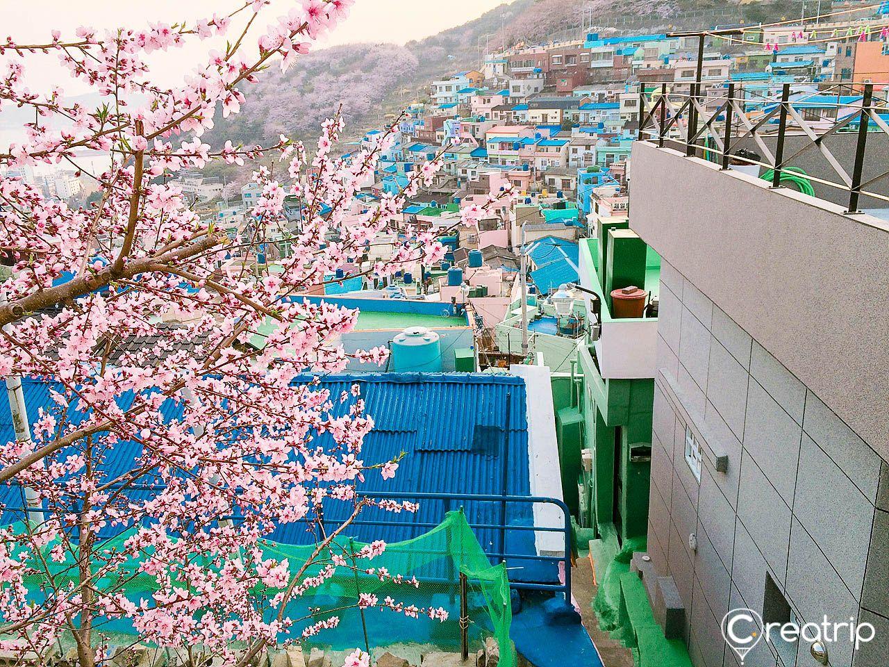Green residential area with sloping urban design in 감천문화마을, Korea, surrounded by nature.