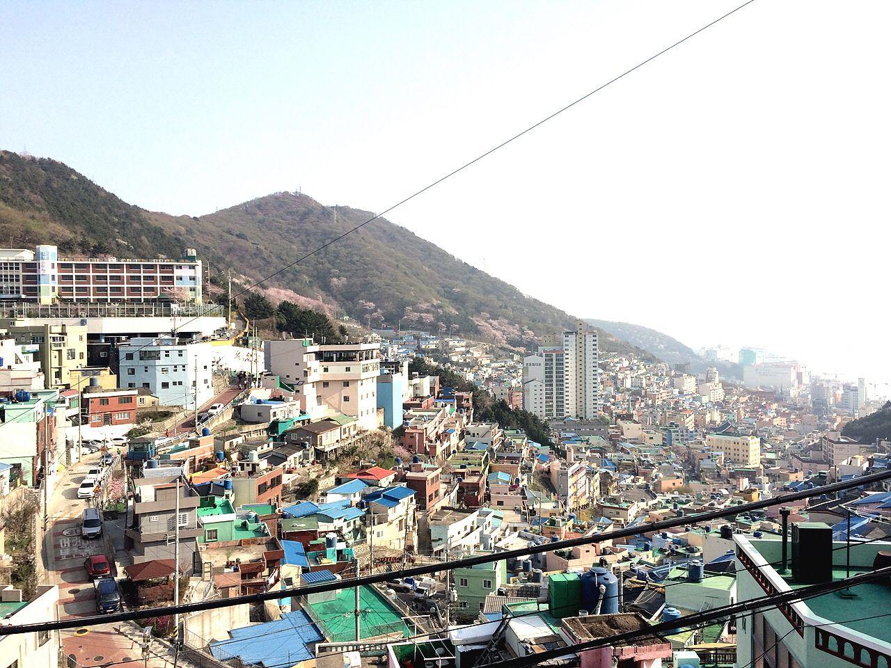 potzzi coffee shop image 5