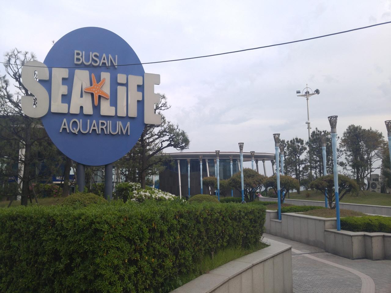 Akuarium Kehidupan Laut Busan image 1