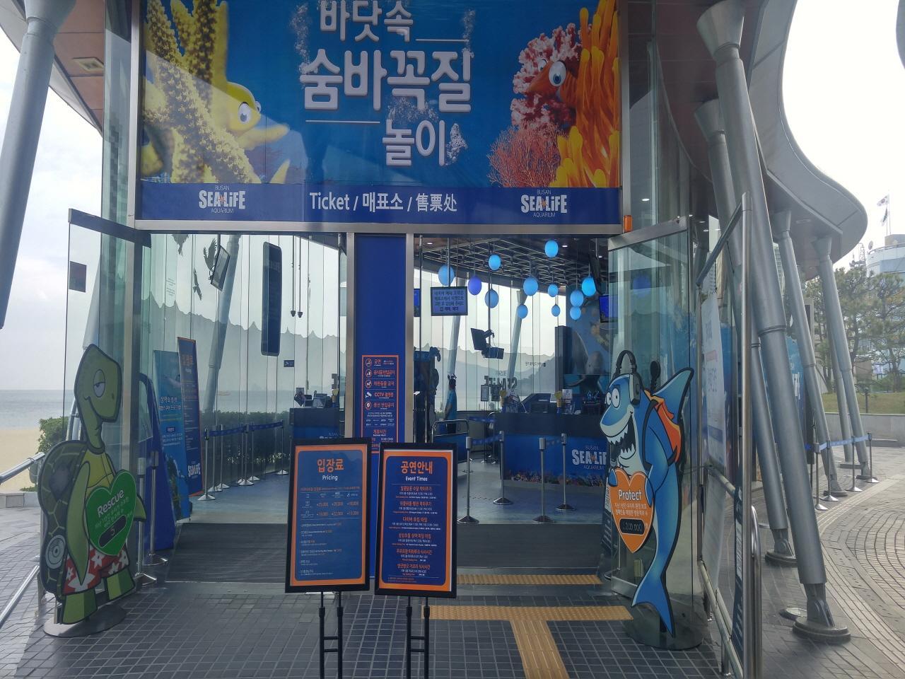 Akuarium Kehidupan Laut Busan image 2