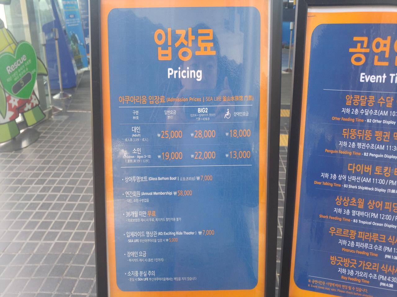 Akuarium Kehidupan Laut Busan image 3