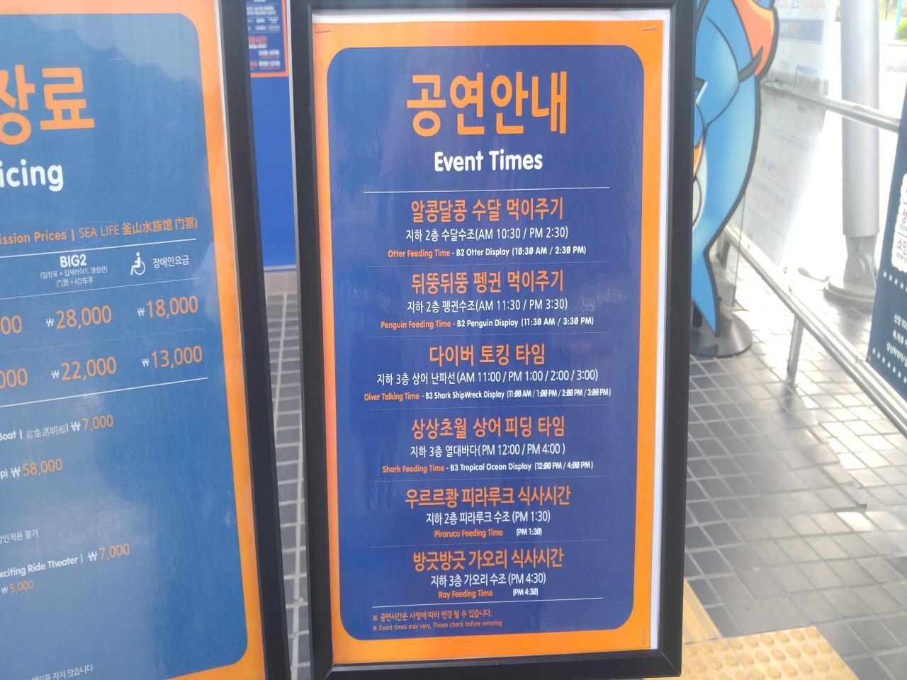 Akuarium Kehidupan Laut Busan image 4