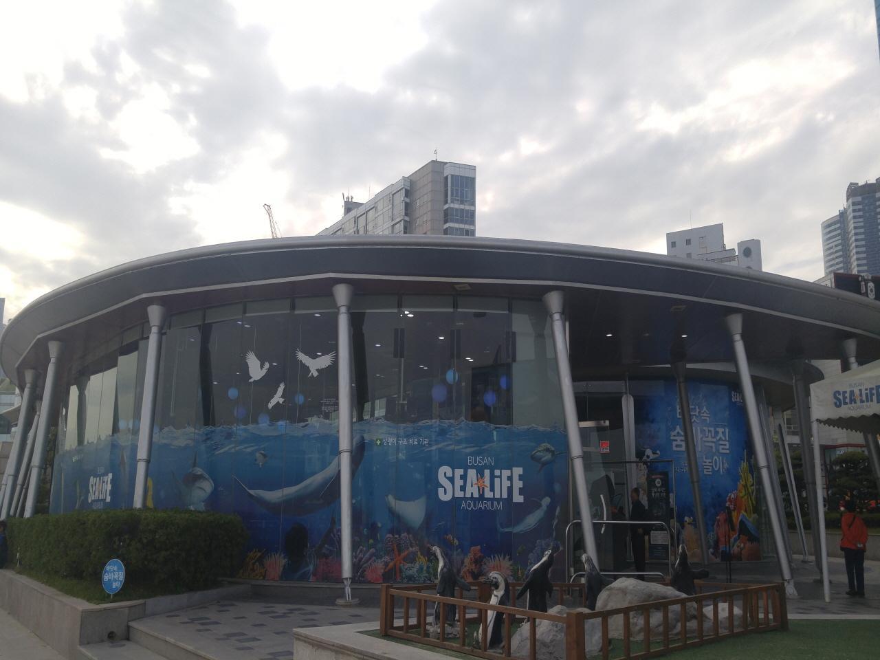 Akuarium Kehidupan Laut Busan image 5