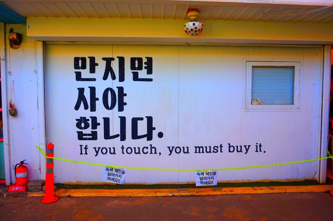 Pusat Budaya Suara image 1