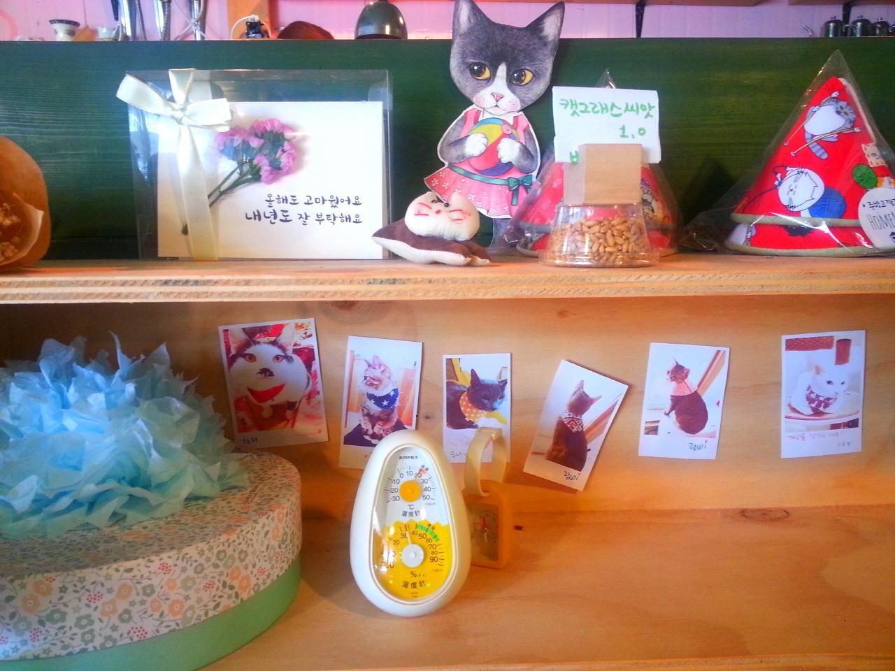 Butterfly coffee shop 5