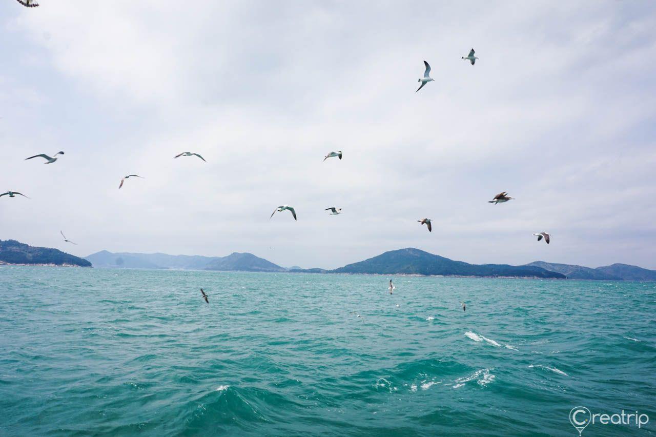 Дожангпо аялал image 5