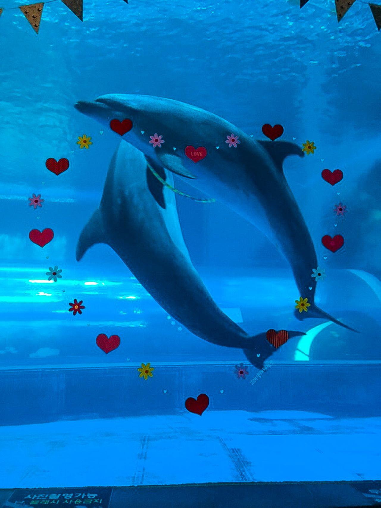 Jangsangpo whale museum and whale eco activity hall 5