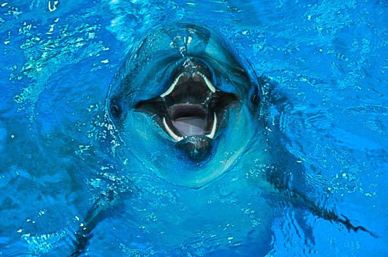 Jangsangpo whale museum and whale eco activity hall 1