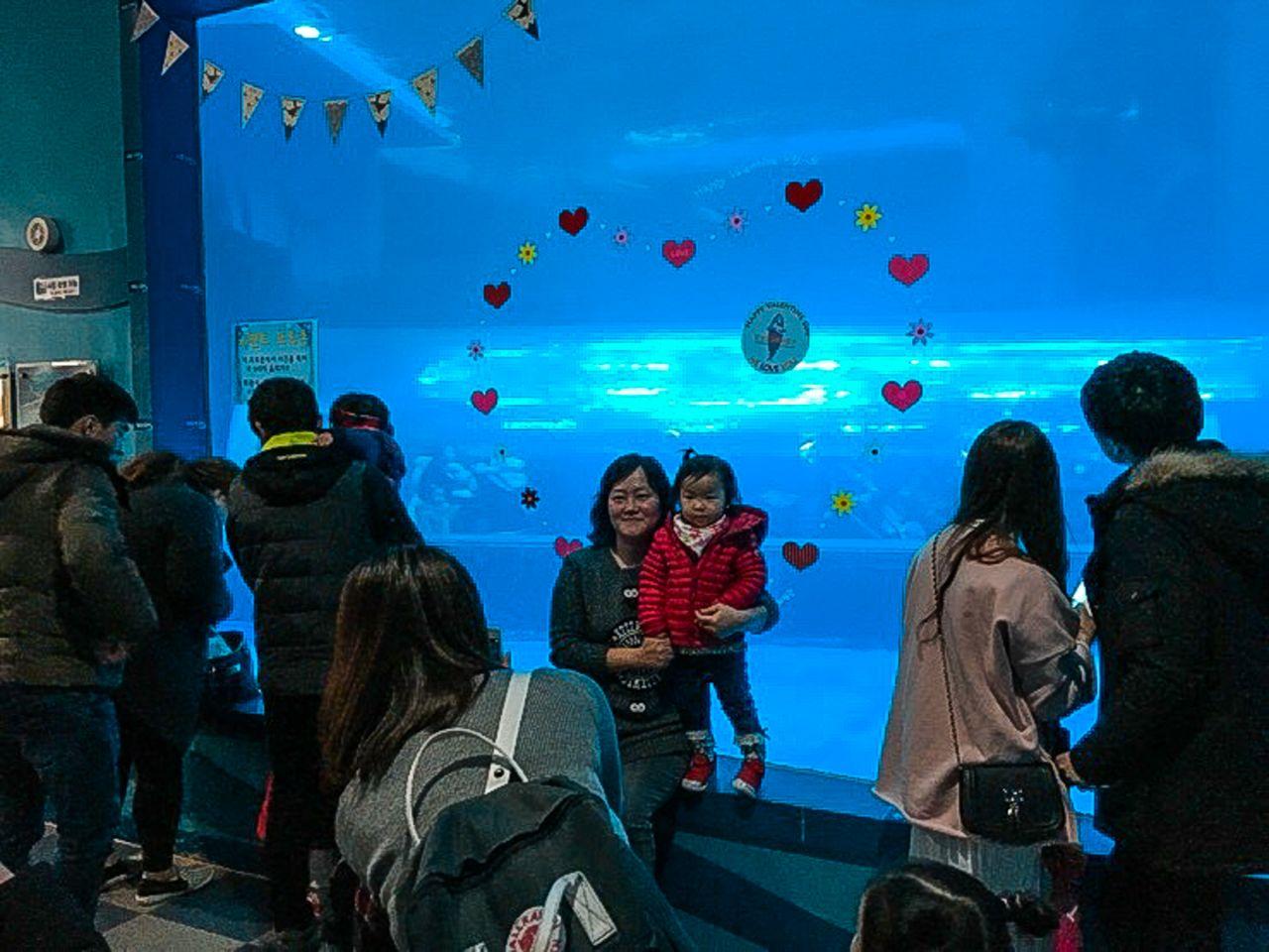 Jangsangpo whale museum and whale eco activity hall 3