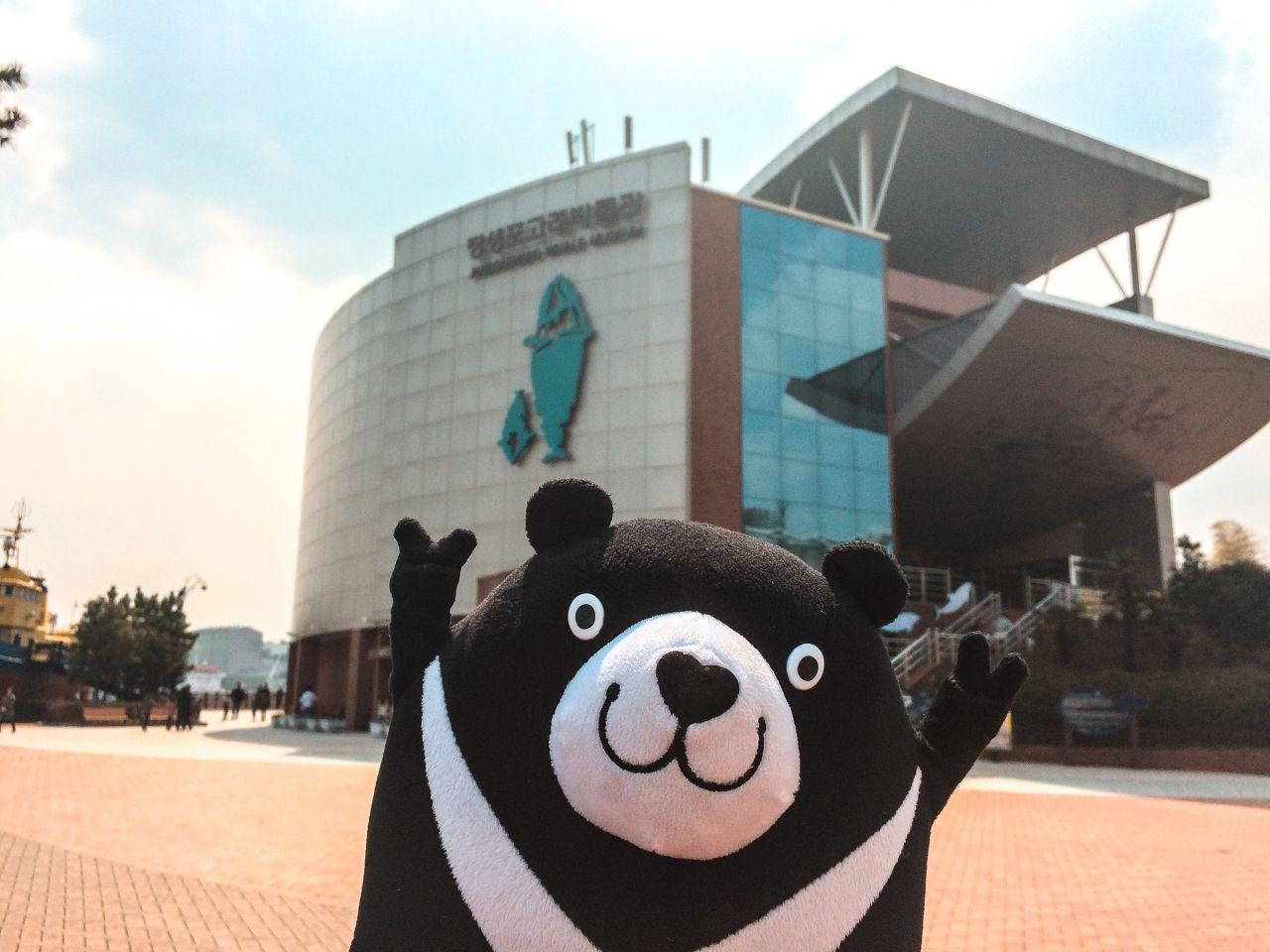 Jangsangpo whale museum and whale eco activity hall 2