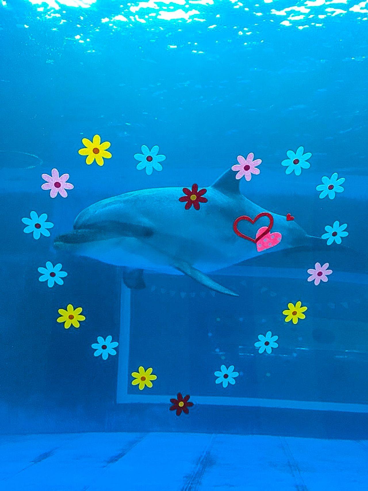 Jangsangpo whale museum and whale eco activity hall 4