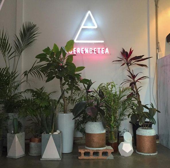 Серенгетеа (безмятежность + получение + чай) image 4