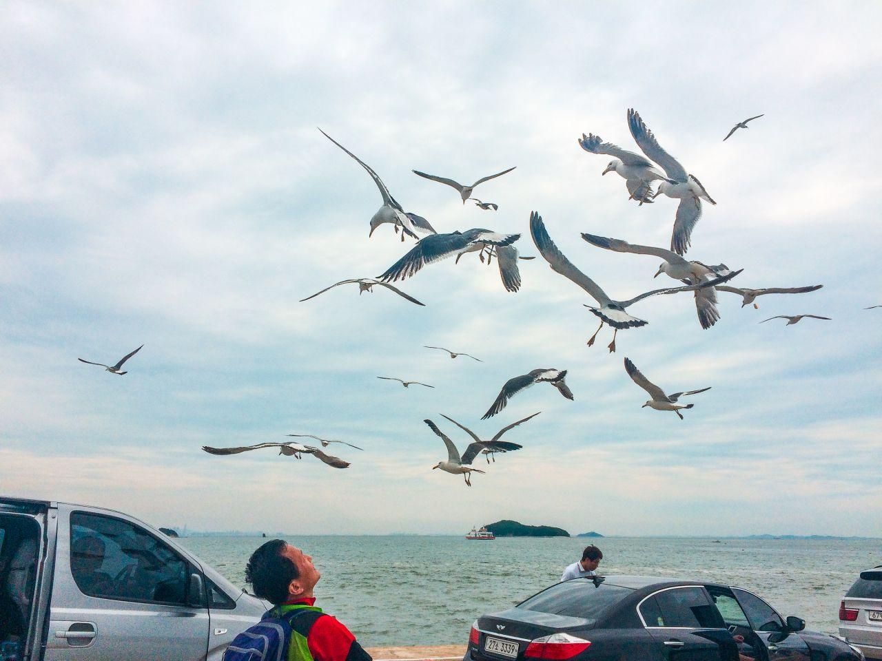 Жамжин дүүжлэв image 3