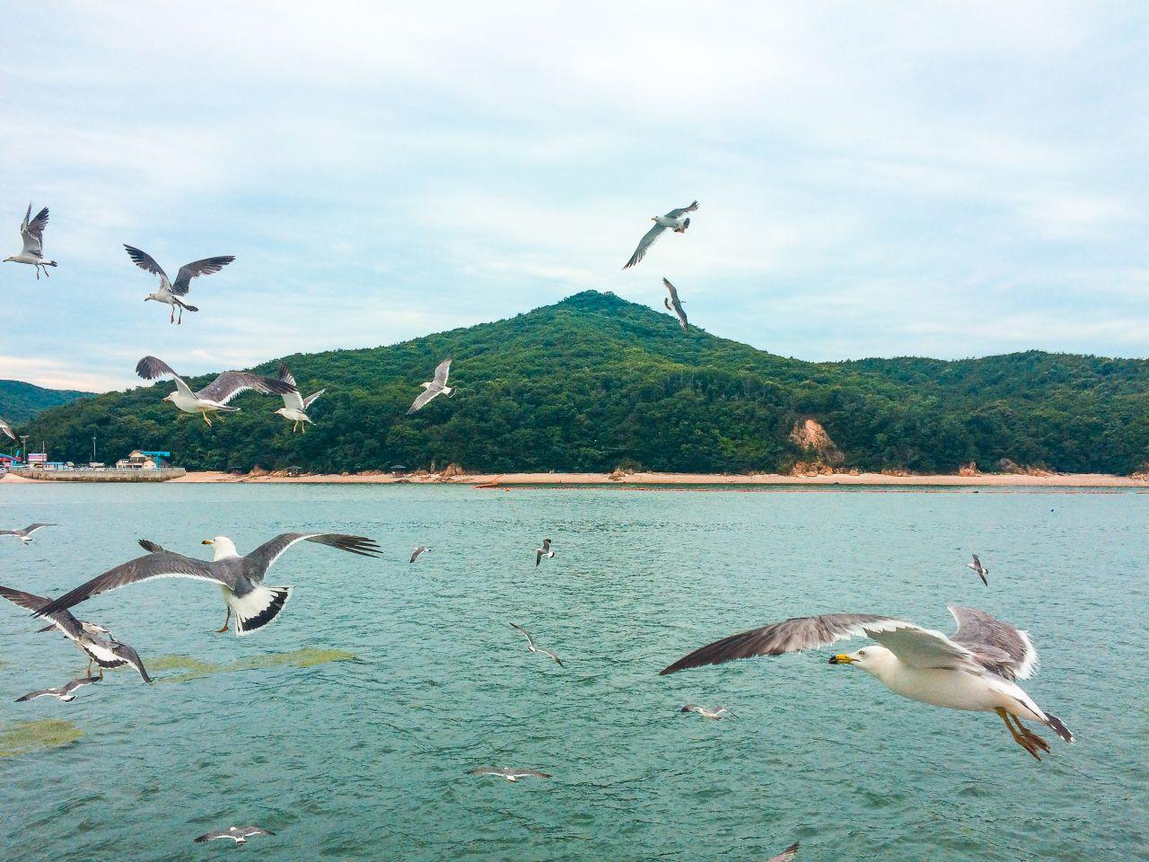 Жамжин дүүжлэв image 1