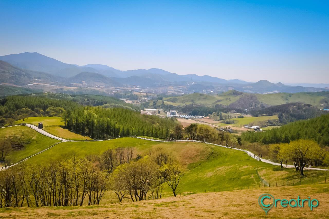 Daeguanlyung sheep green land image 4