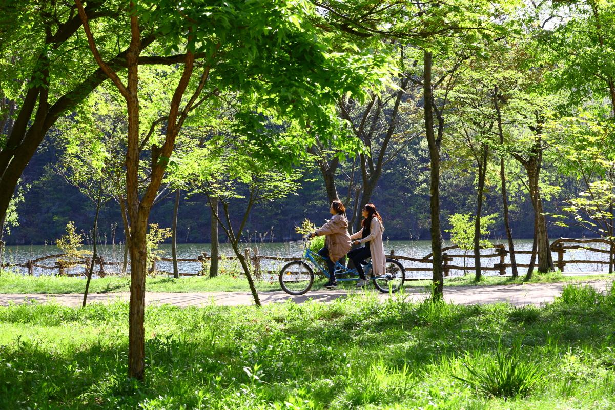 a group of people cycling through a tranquil nature park with trees and plants.
