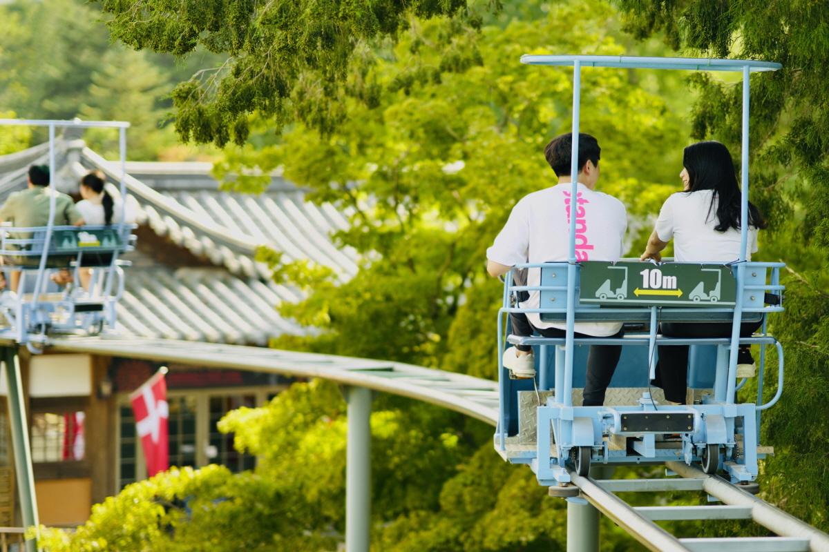 Nami Island + Garden of Morning Calm Day Tour | Seoul Departure -image