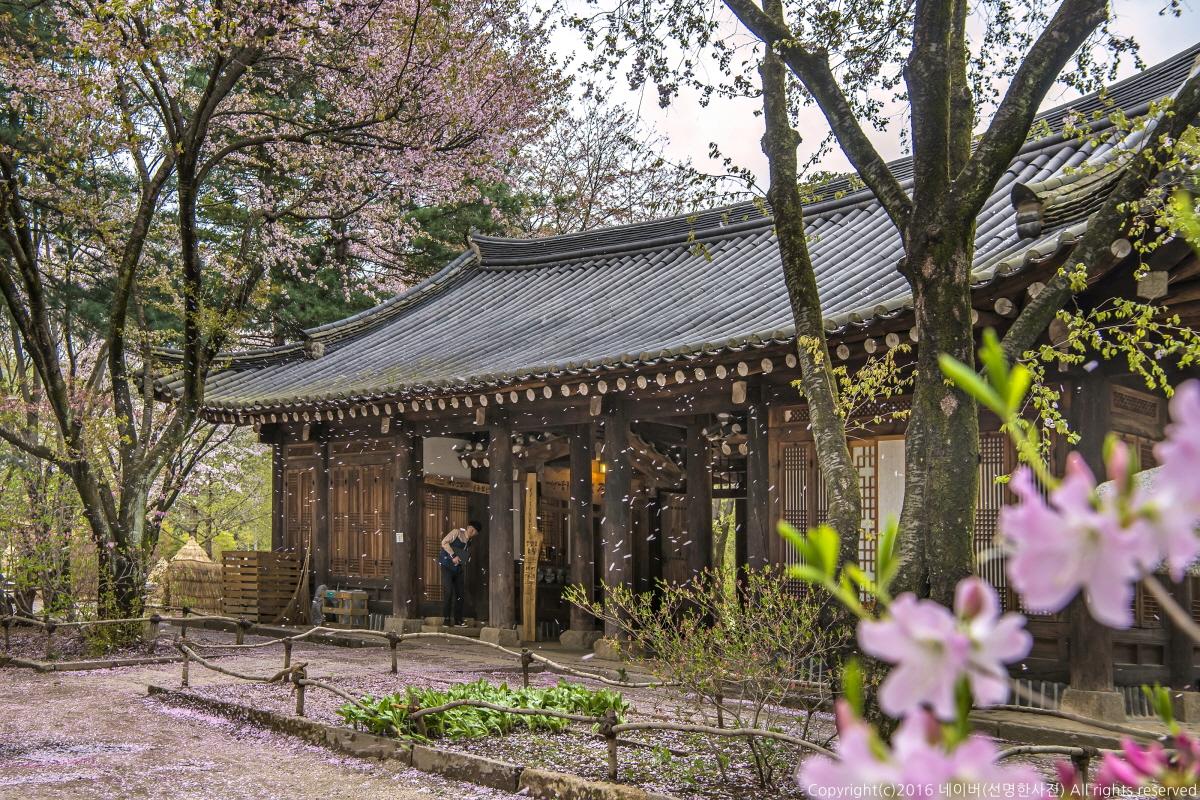 Morning tranquility at Namiseom Island and Arboretum featuring plants, flowers, and natural scenery in Seoul, South Korea.