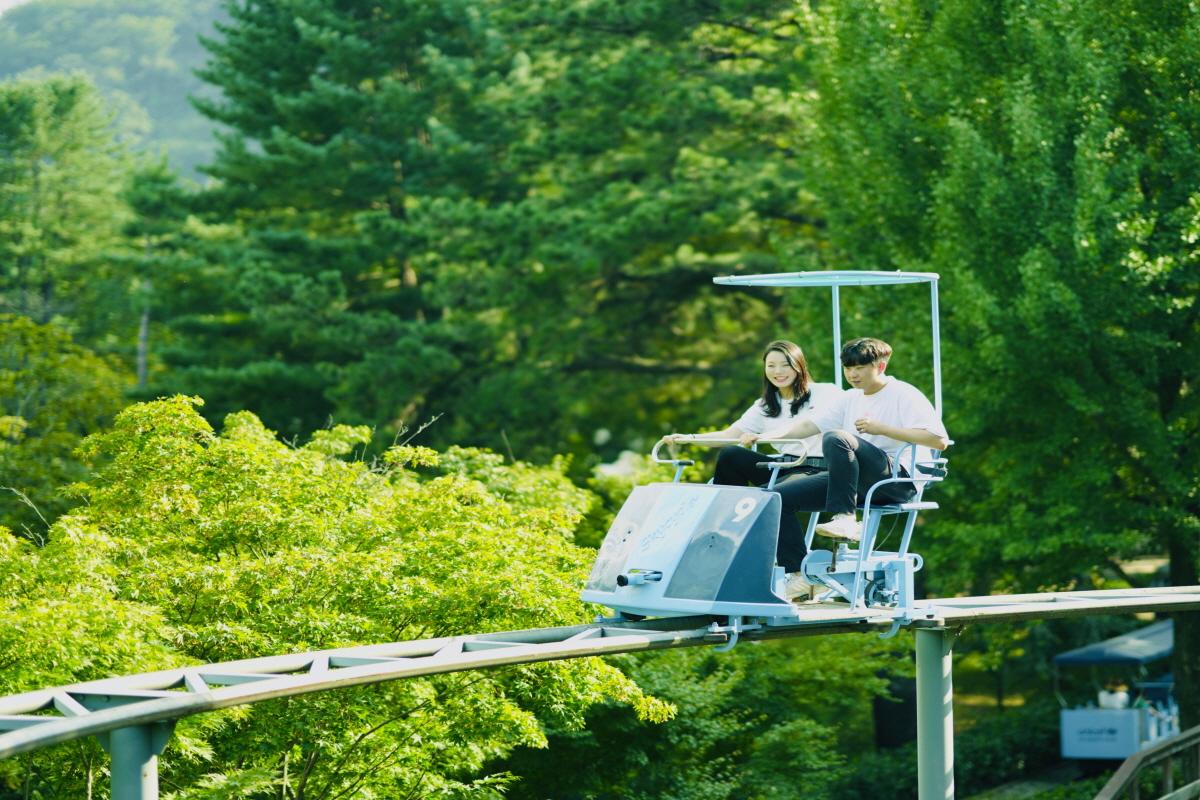 a person riding a rail bike through the tranquil greenery of Namiseom Island's morning calm forest.
