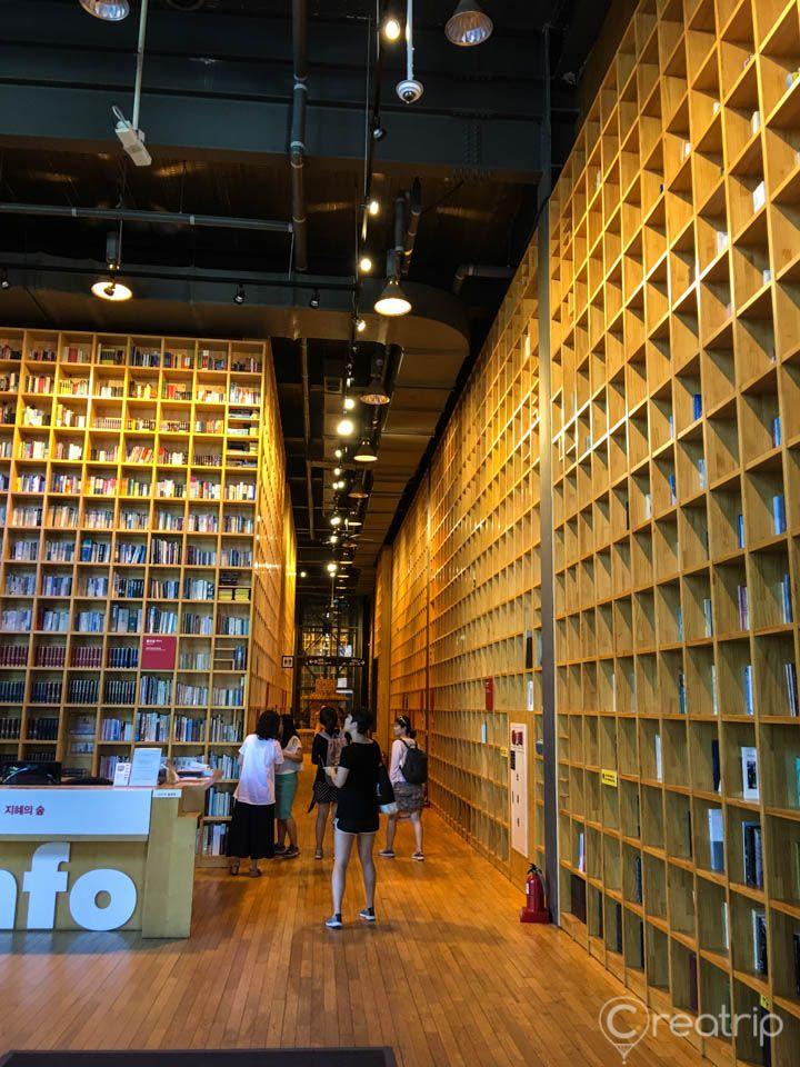 Мэргэн ухааны ой image 2