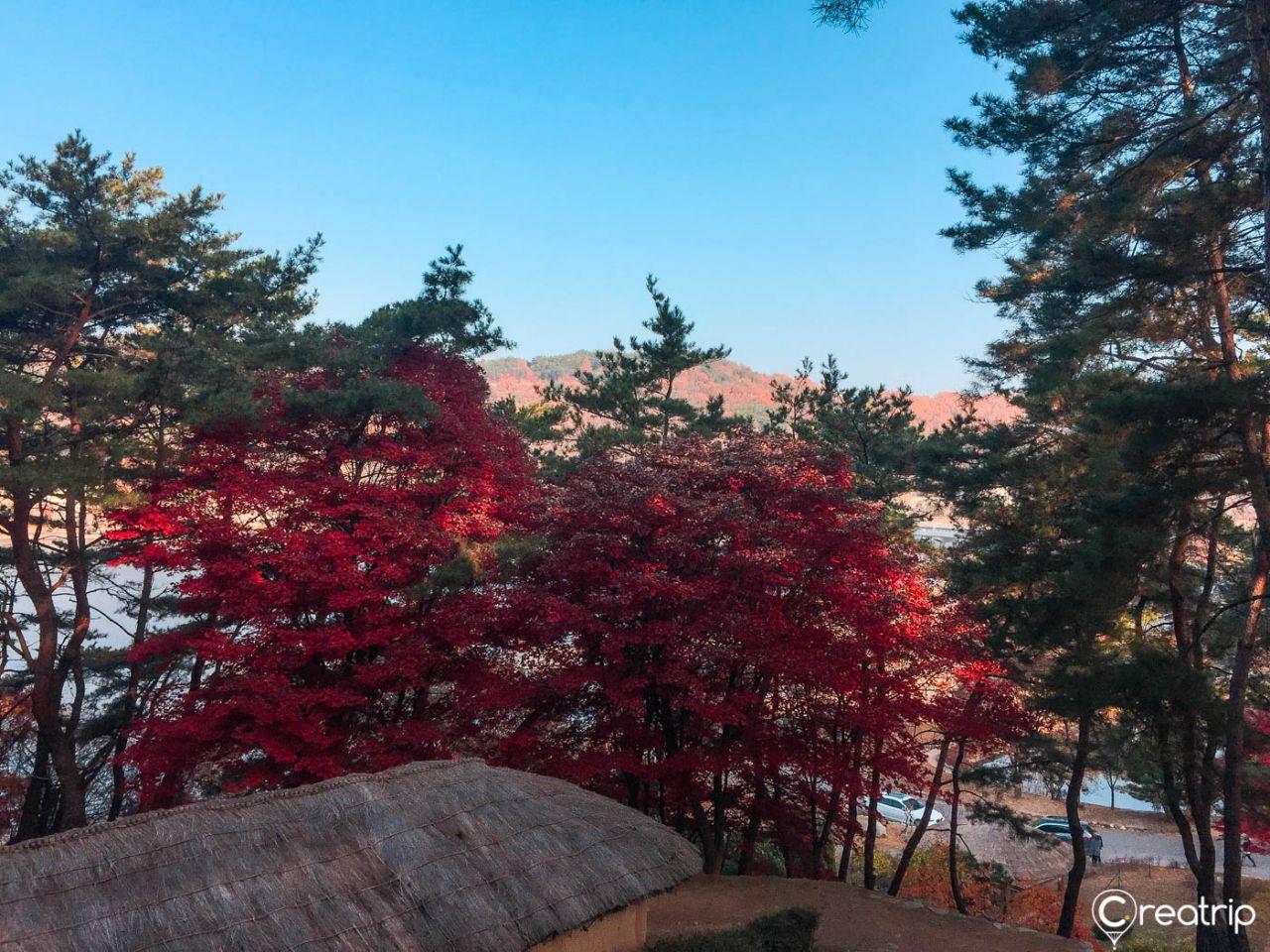 Villaggio popolare all'aperto 2