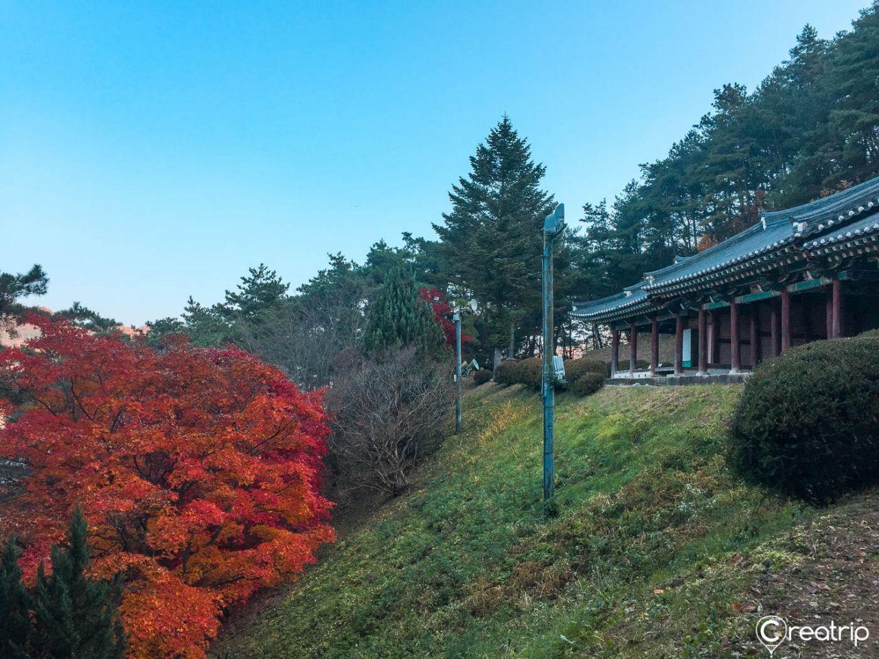 Villaggio popolare all'aperto 1