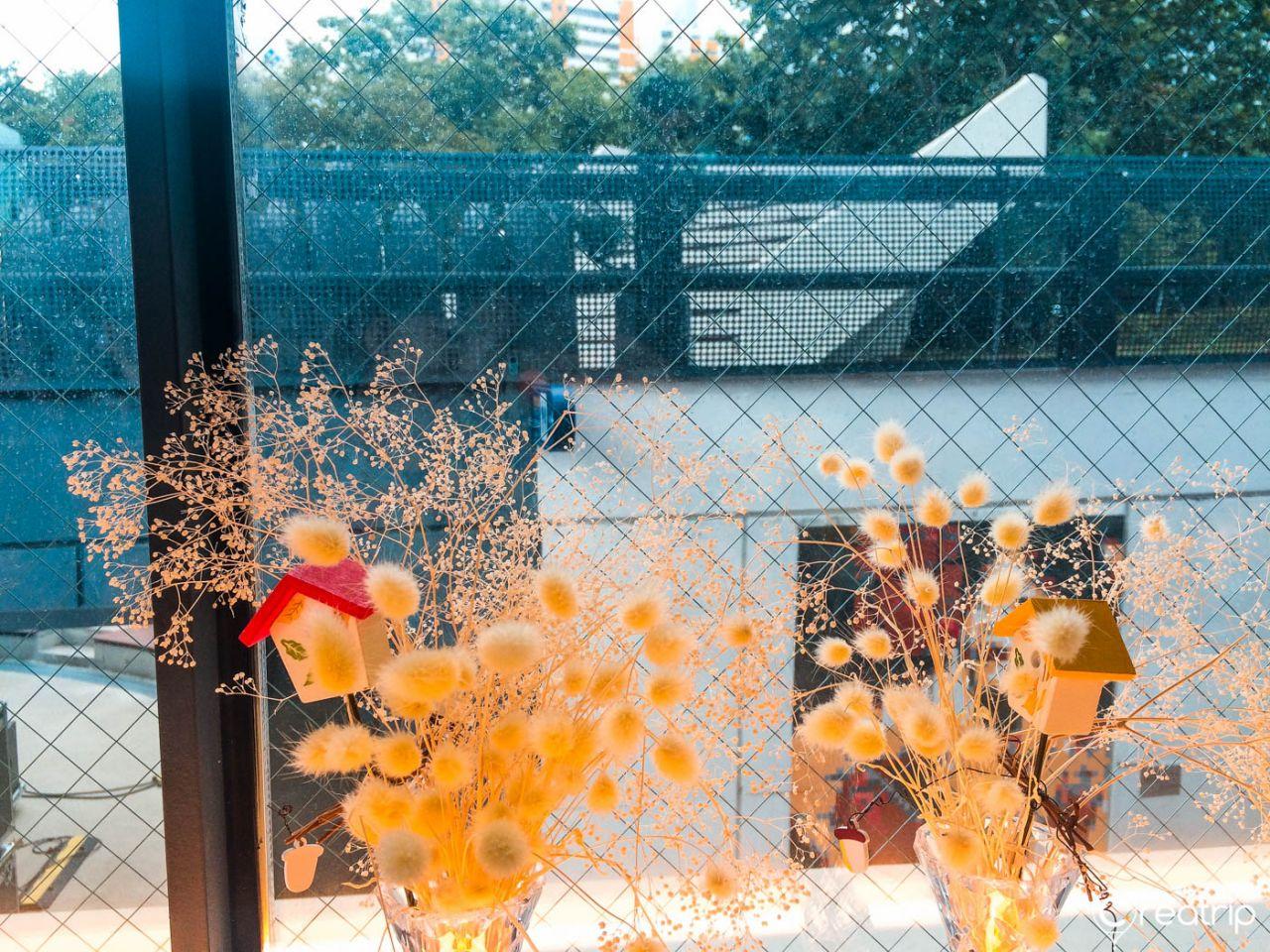 Baja coffe shop image 5